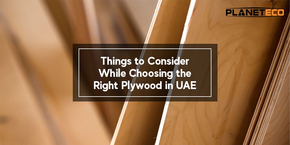 Things to Consider While Choosing the Right Plywood in UAE