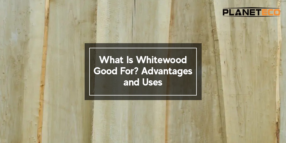 What Is Whitewood Good For? Advantages and Uses