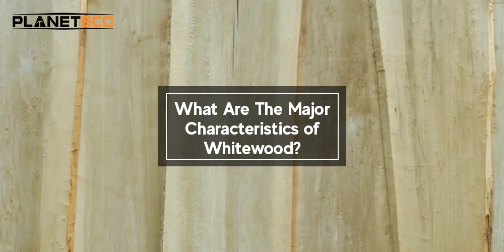 What Are The Major Characteristics of Whitewood?