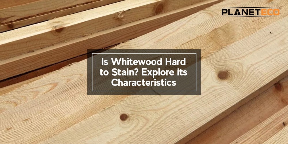 Is Whitewood Hard to Stain? Explore its Characteristics