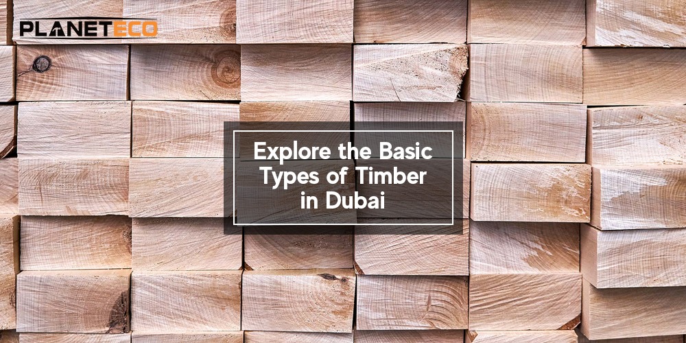 Explore the Basic Types of Timber in Dubai