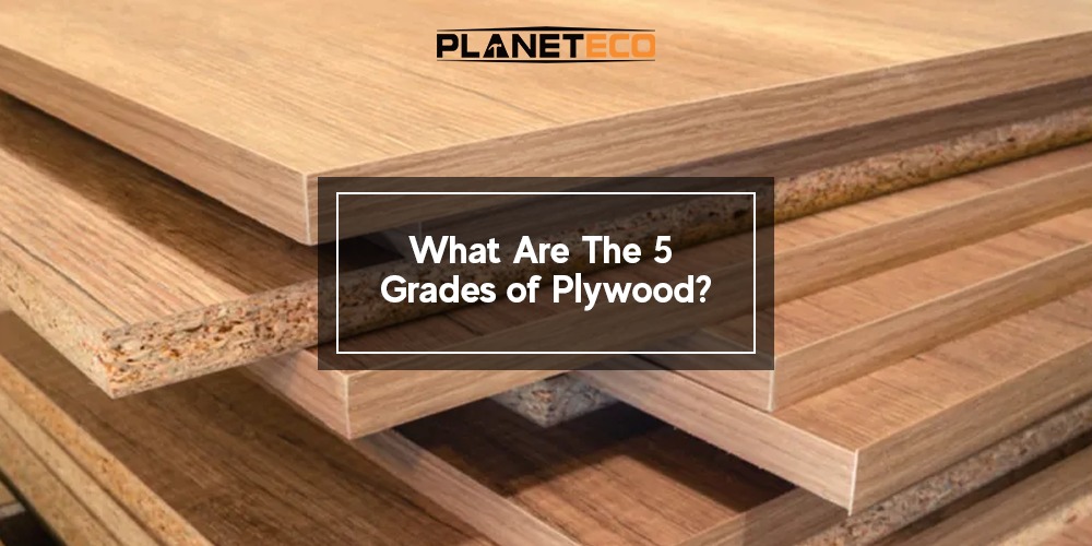 What Are The 5 Grades of Plywood?