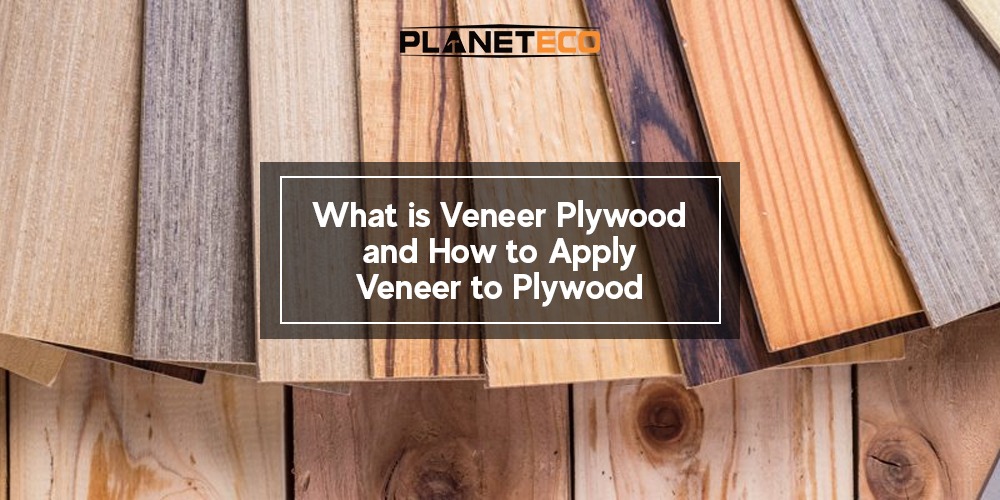 What is Veneer Plywood? and How to Apply Veneer to Plywood