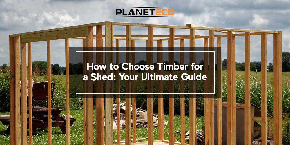 How to Choose Timber for a Shed: Your Ultimate Guide