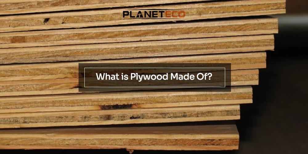 What is Plywood Made Of?