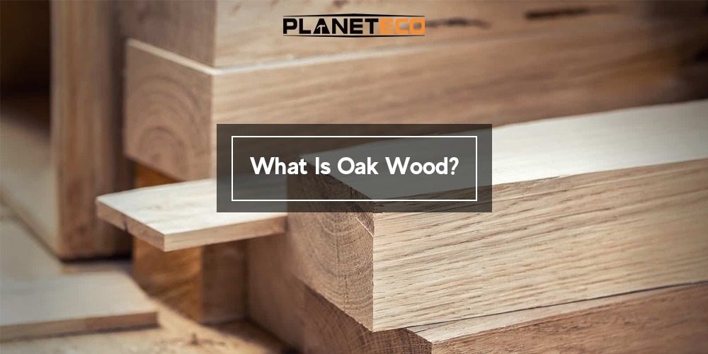 What Is Oak Wood?
