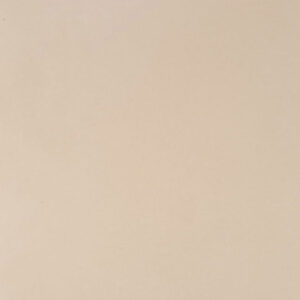 BEIGE 5004