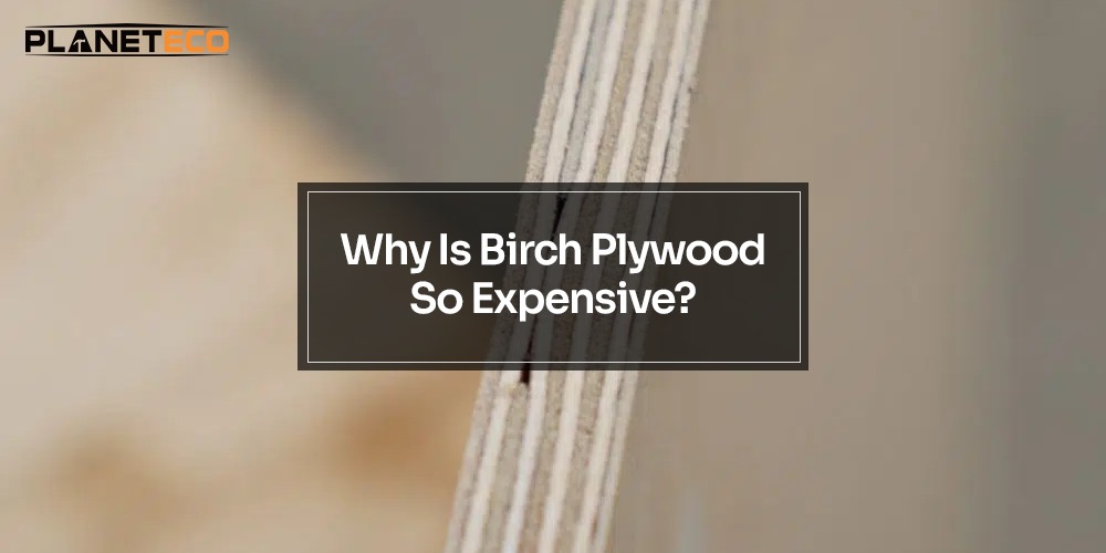 Why Is Birch Plywood So Expensive?