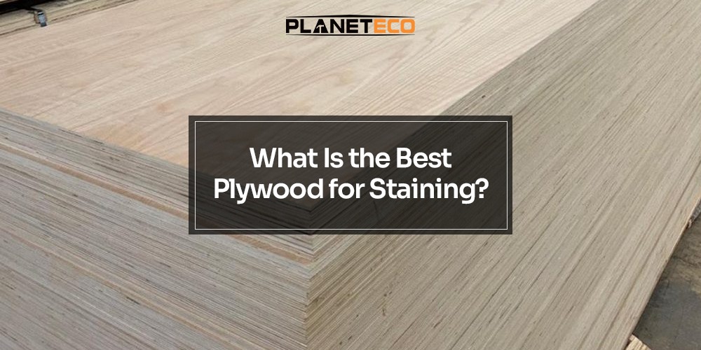 What Is the Best Plywood for Staining?