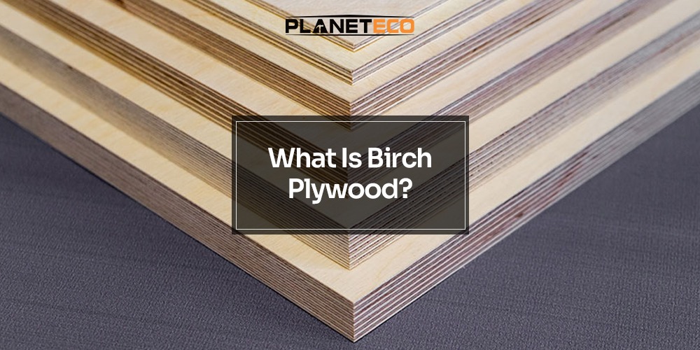 What Is Birch Plywood?