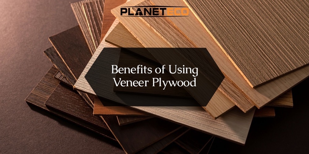 Benefits of Using Veneer Plywood