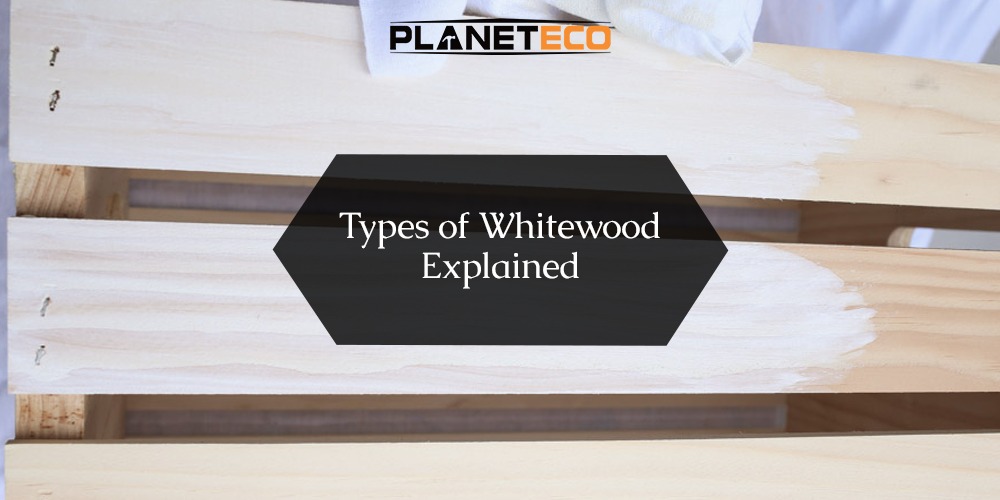 Types of White Wood Explained by Planeteco UAE