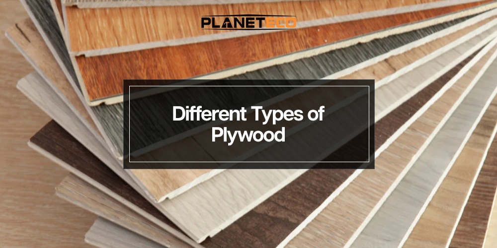 What Are the Different Types of Plywood?