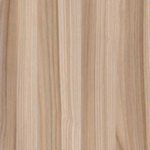 SWAMP ASH TREE