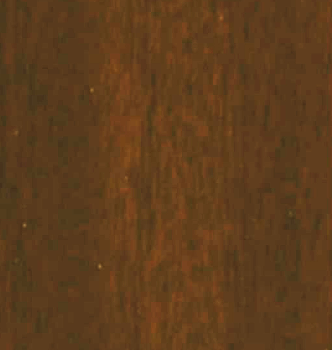 VENORA-WALNUT