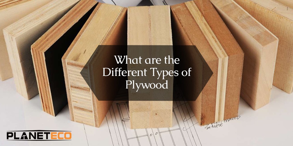 What Are the Different Types of Plywood?