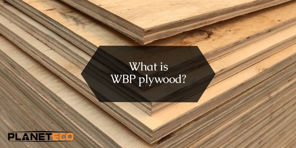 What is WBP Plywood Used For in the UAE?