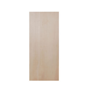 BLOCK DOOR