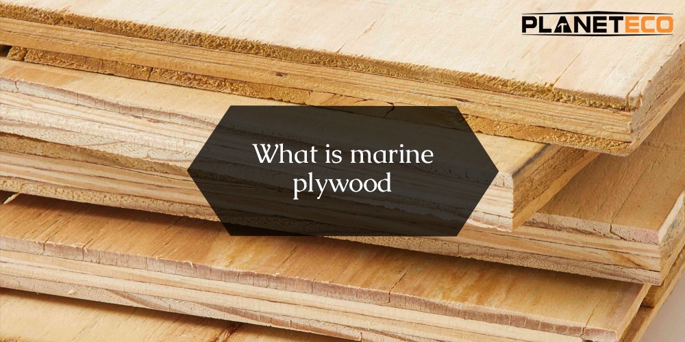 What is Marine Plywood 