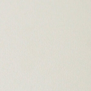DC-SC931 LIGHT BEIGE