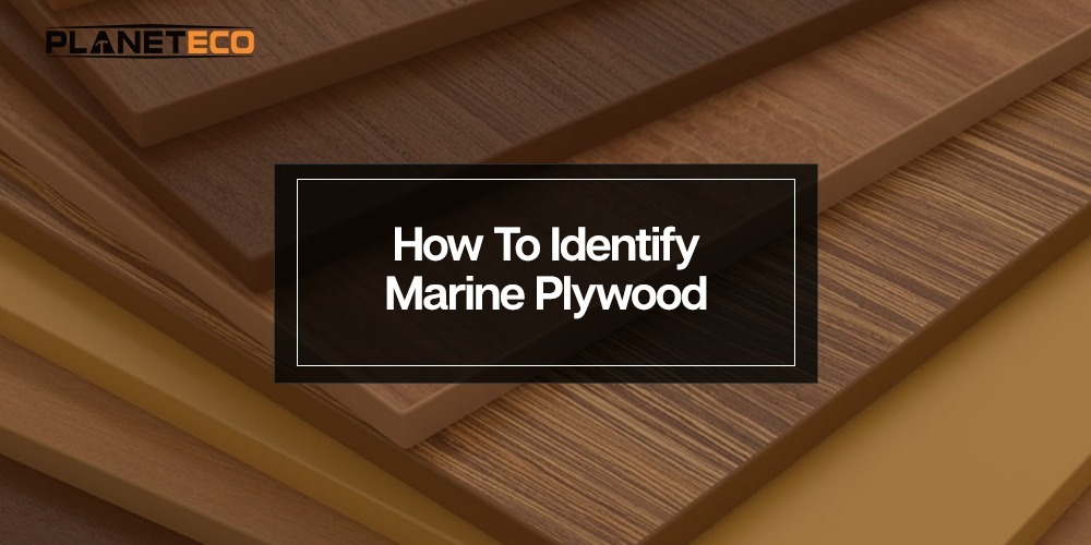 How To Identify Marine Plywood UAE