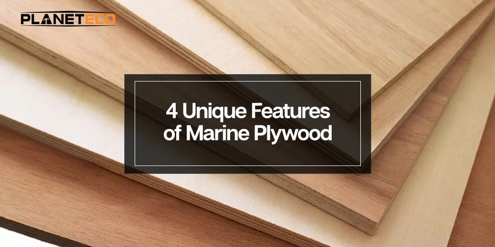 4 Unique Features of Marine Plywood UAE