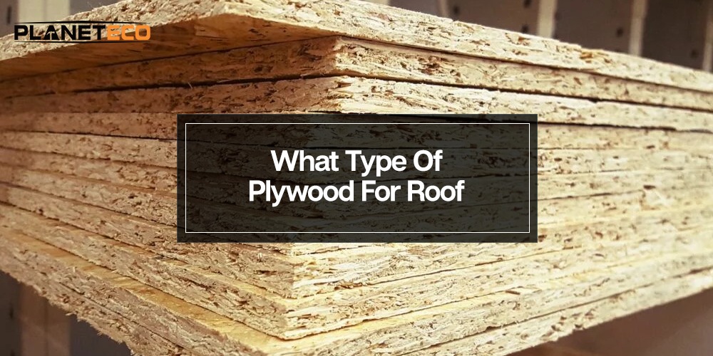 What Type of Plywood Is Best for a Roof? 