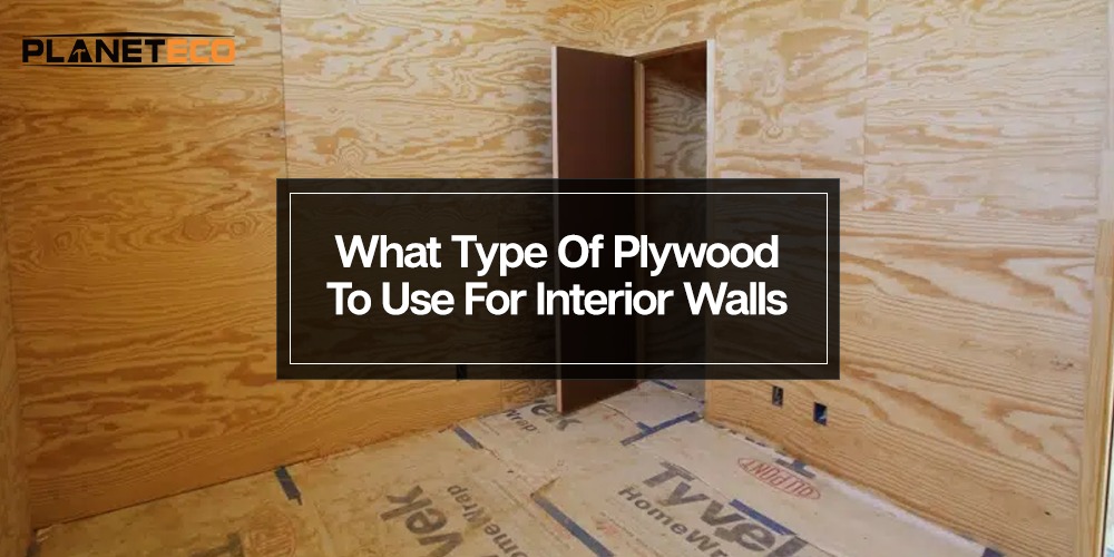 What Type of Plywood to Use for Interior Walls? 