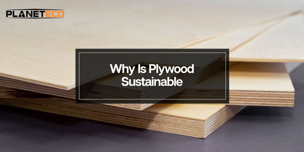 Why Is Plywood Sustainable?